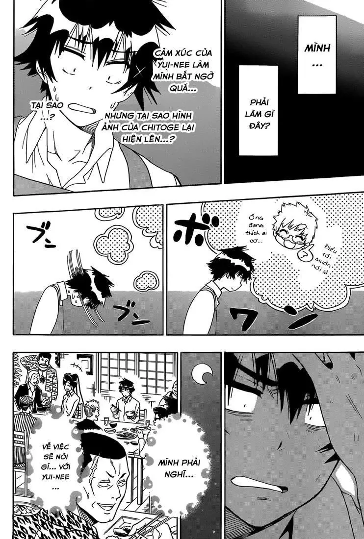 Nisekoi Chapter 178 - Trang 11