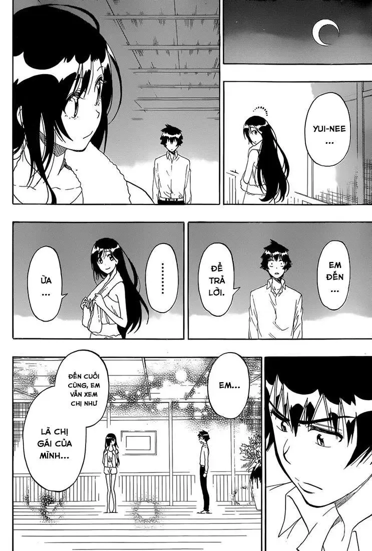 Nisekoi Chapter 178 - Trang 13