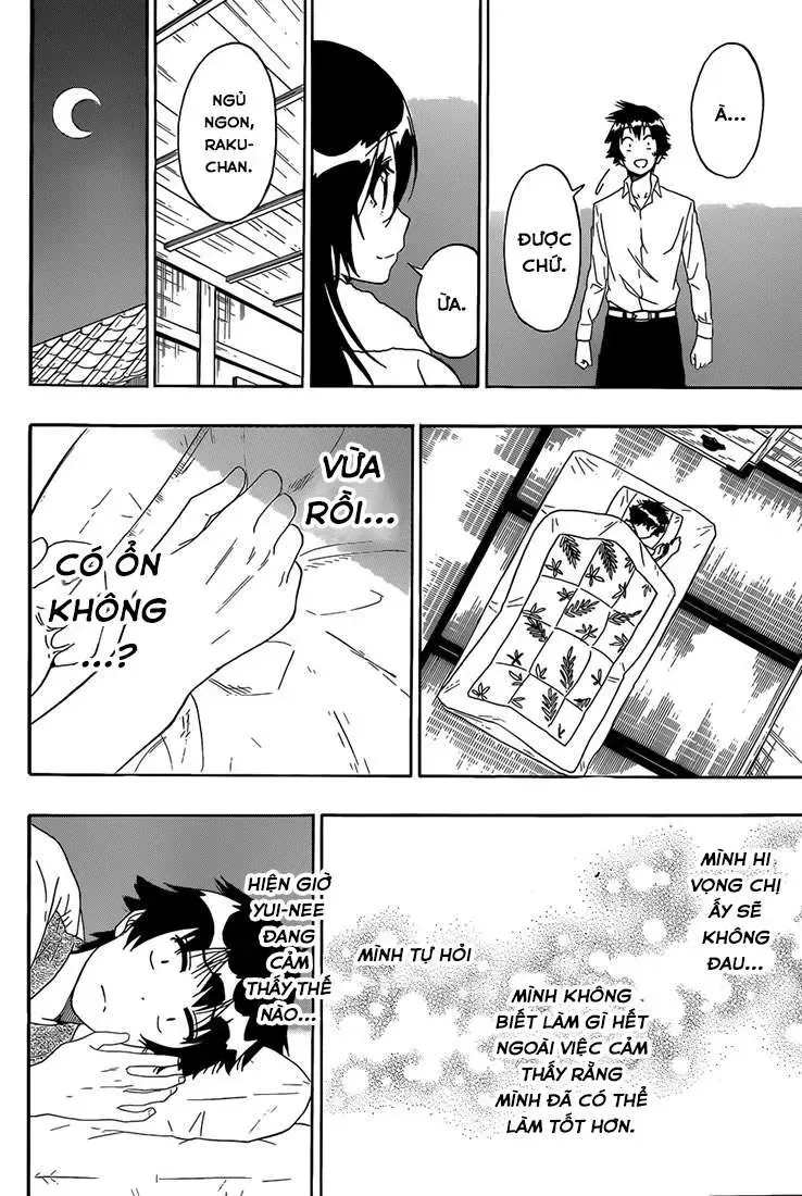 Nisekoi Chapter 178 - Trang 15