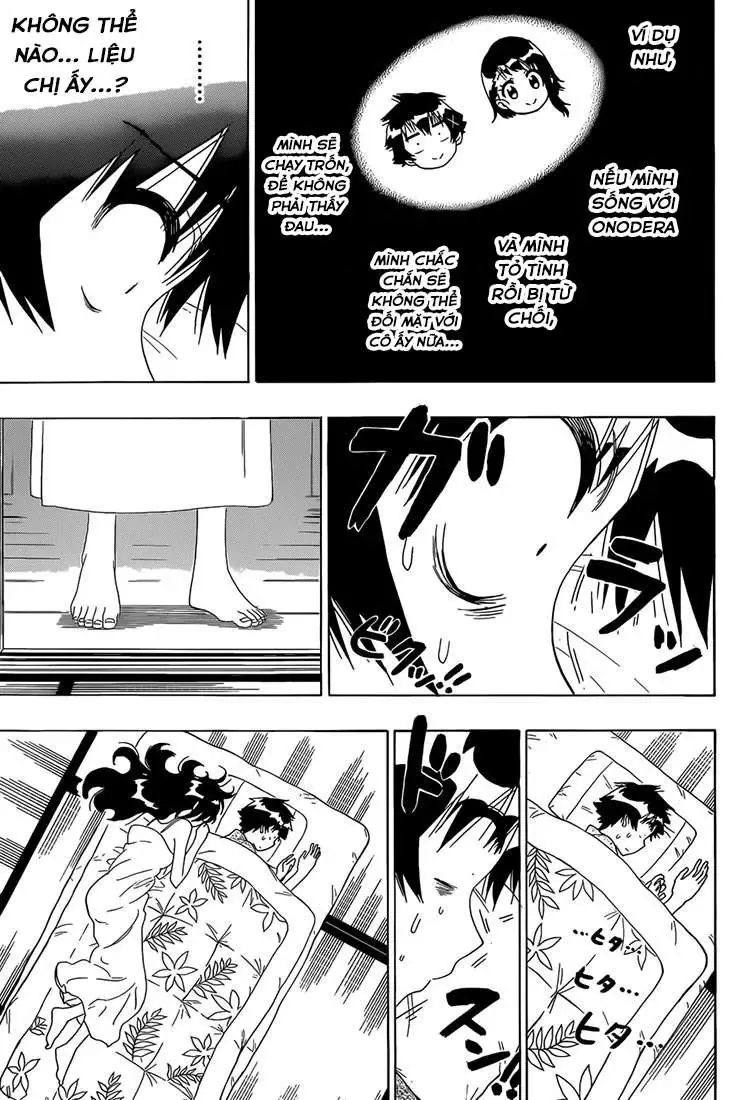 Nisekoi Chapter 178 - Trang 16