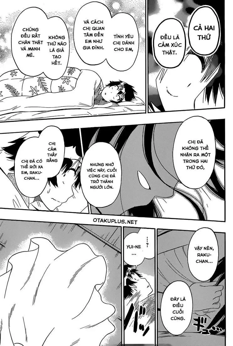 Nisekoi Chapter 178 - Trang 18