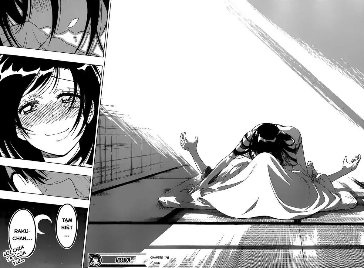 Nisekoi Chapter 178 - Trang 19