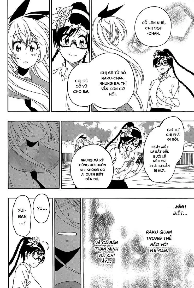 Nisekoi Chapter 179 - Trang 14