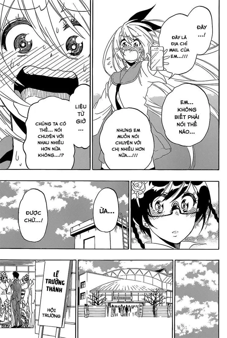 Nisekoi Chapter 179 - Trang 15