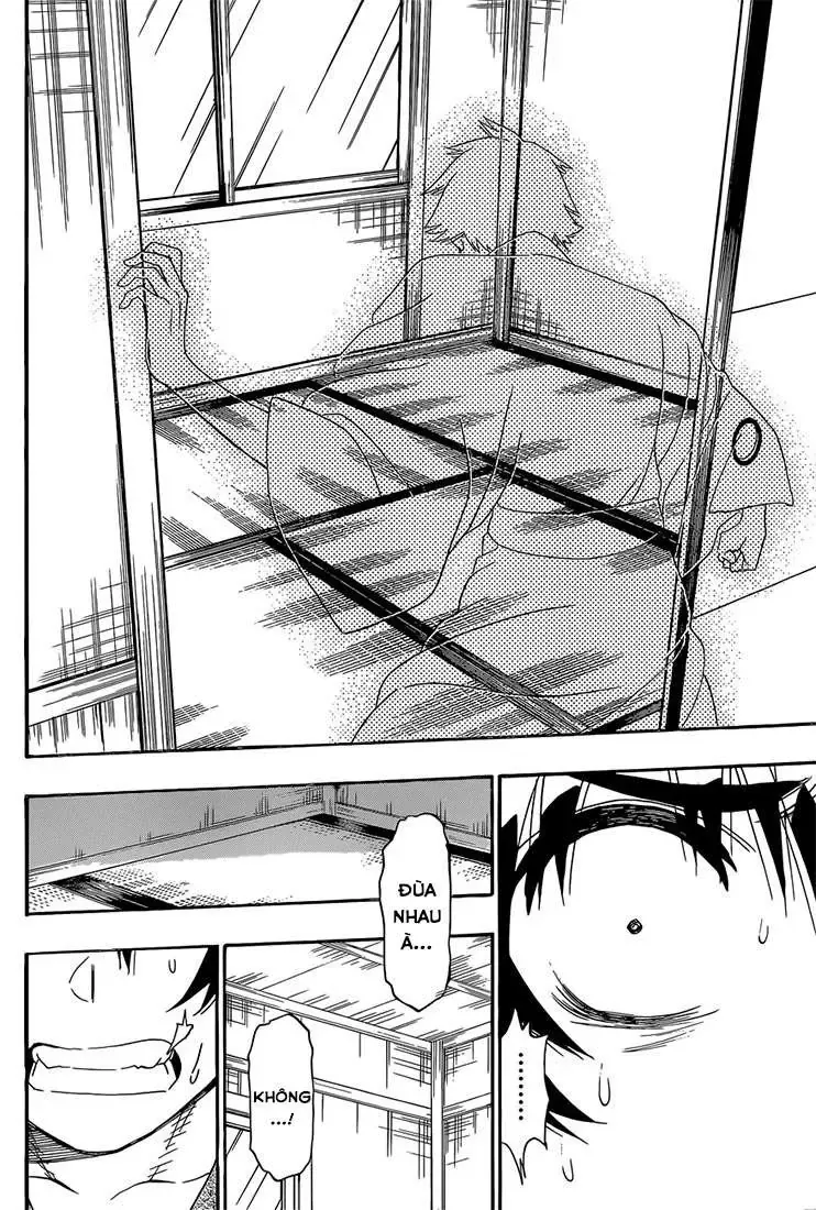 Nisekoi Chapter 179 - Trang 6