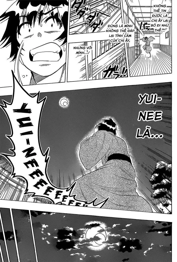 Nisekoi Chapter 179 - Trang 7