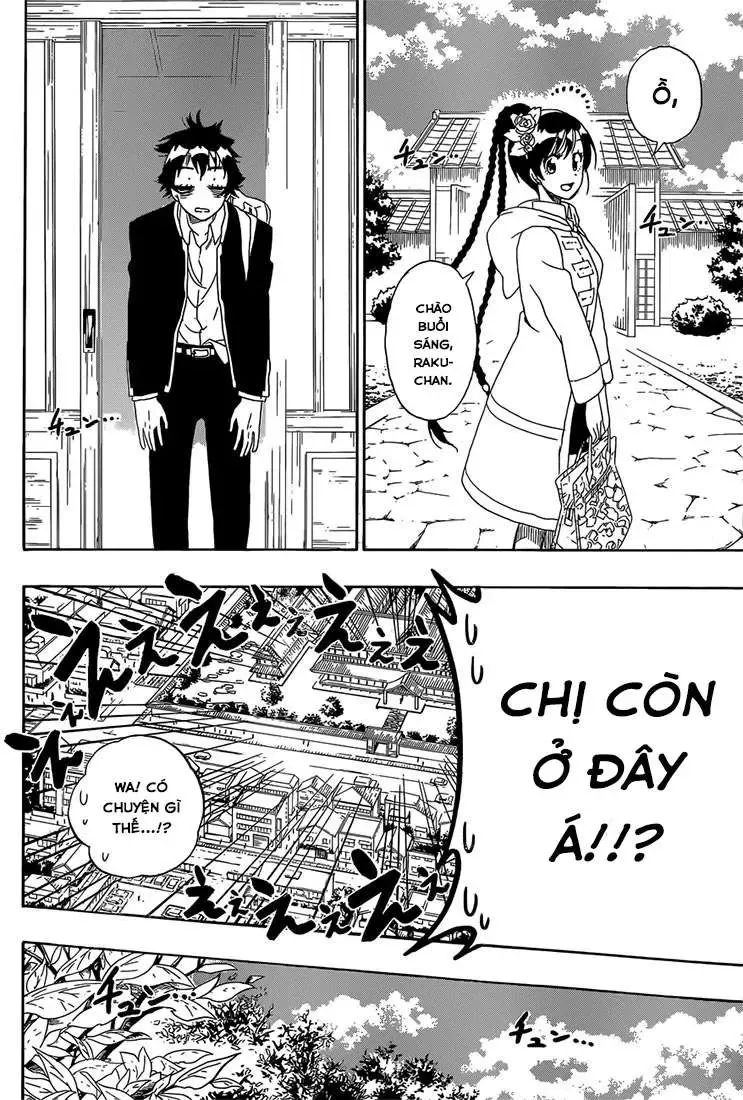 Nisekoi Chapter 179 - Trang 8