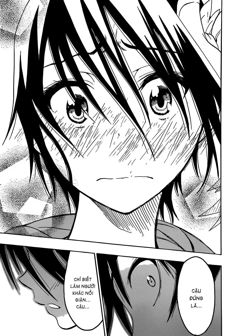 Nisekoi Chapter 18 - Trang 19