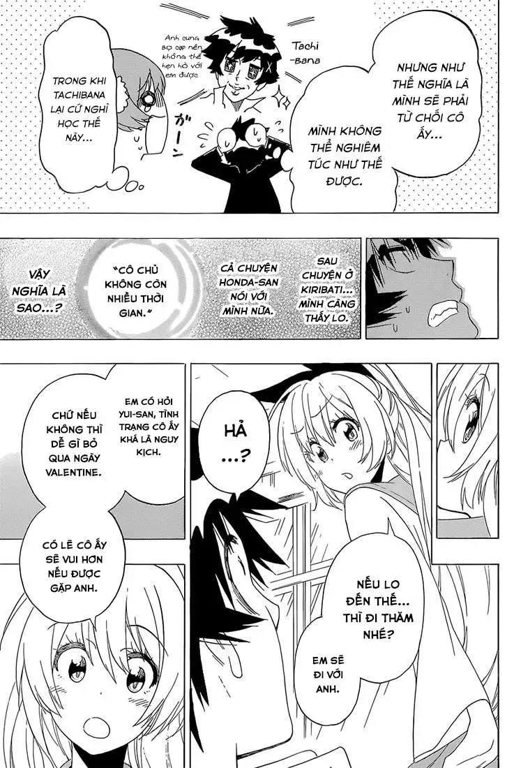 Nisekoi Chapter 180 - Trang 12