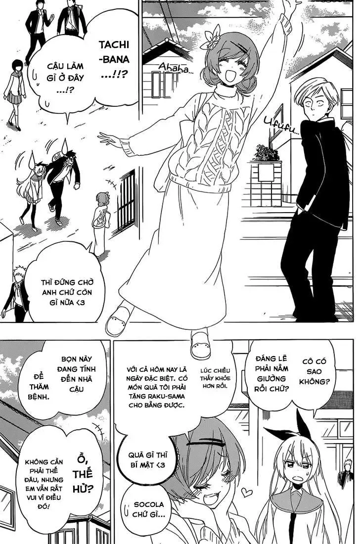 Nisekoi Chapter 180 - Trang 14