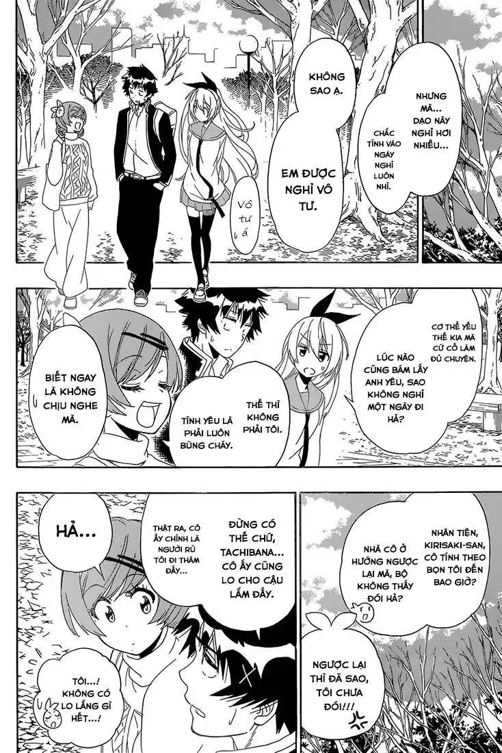 Nisekoi Chapter 180 - Trang 15