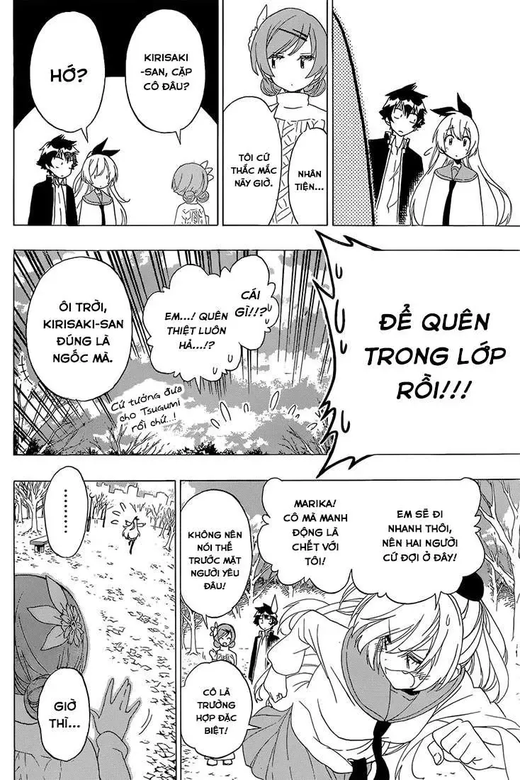 Nisekoi Chapter 180 - Trang 19