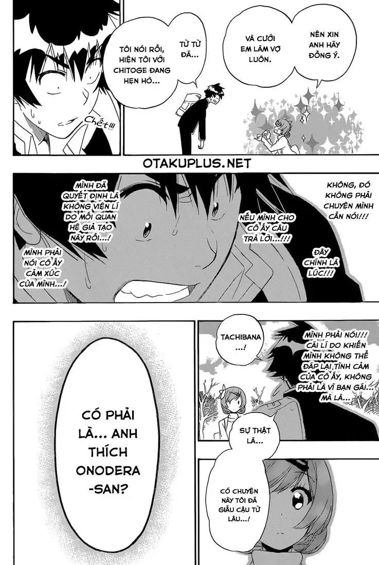 Nisekoi Chapter 180 - Trang 21