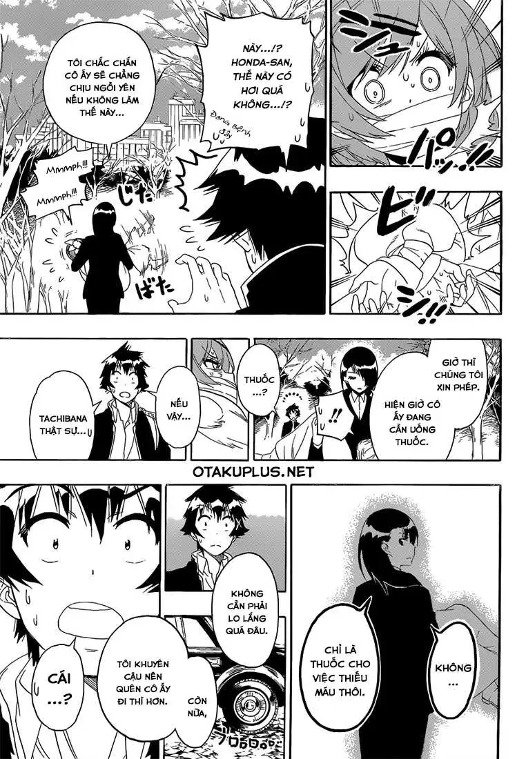 Nisekoi Chapter 181 - Trang 11