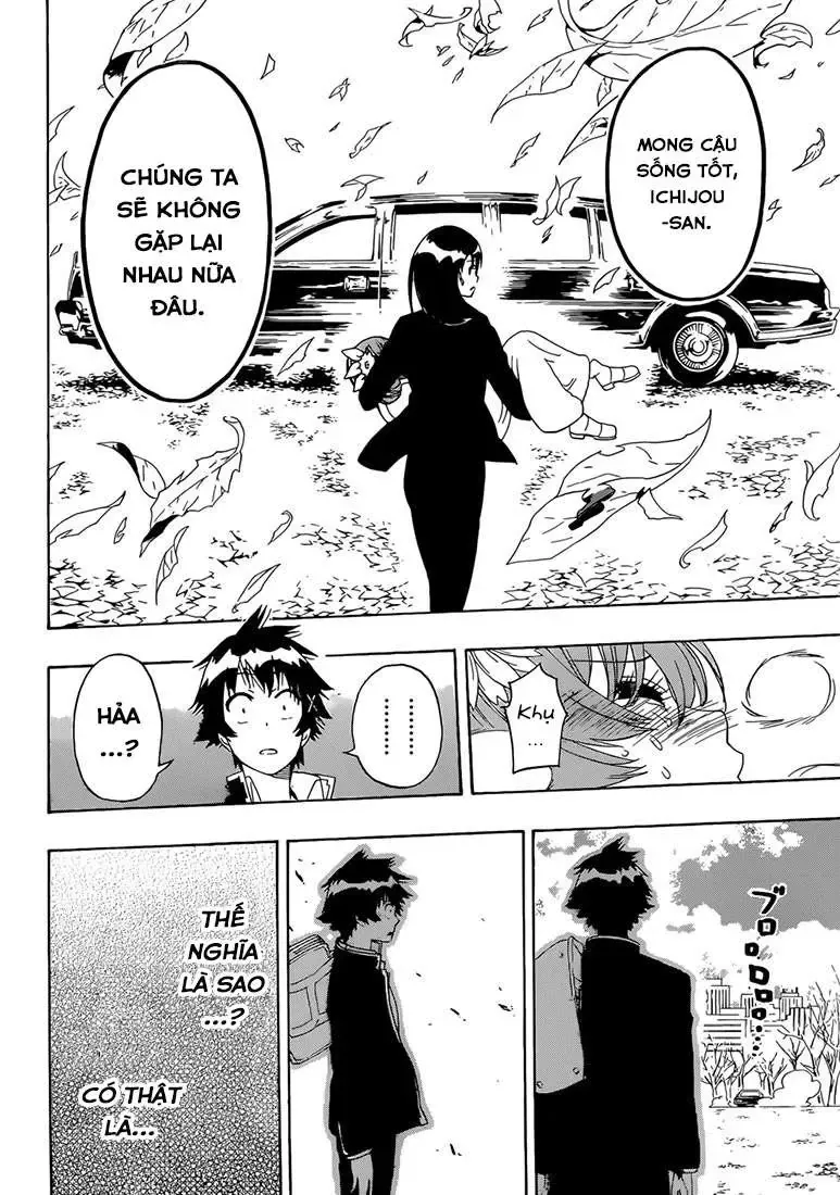 Nisekoi Chapter 181 - Trang 12