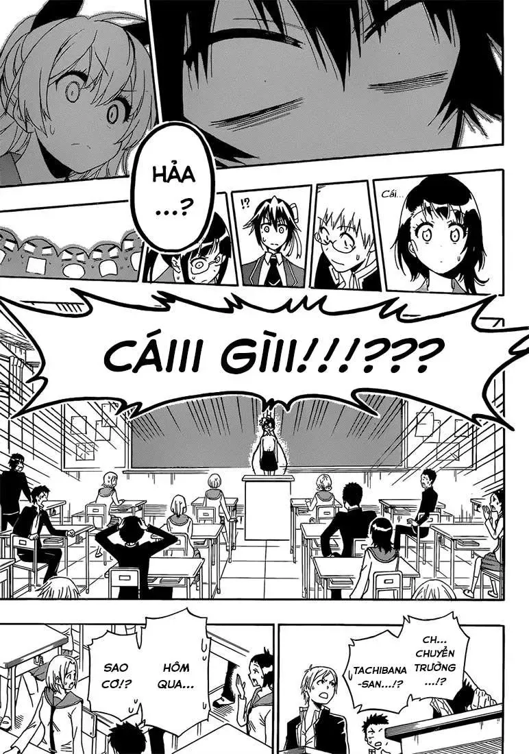 Nisekoi Chapter 181 - Trang 15