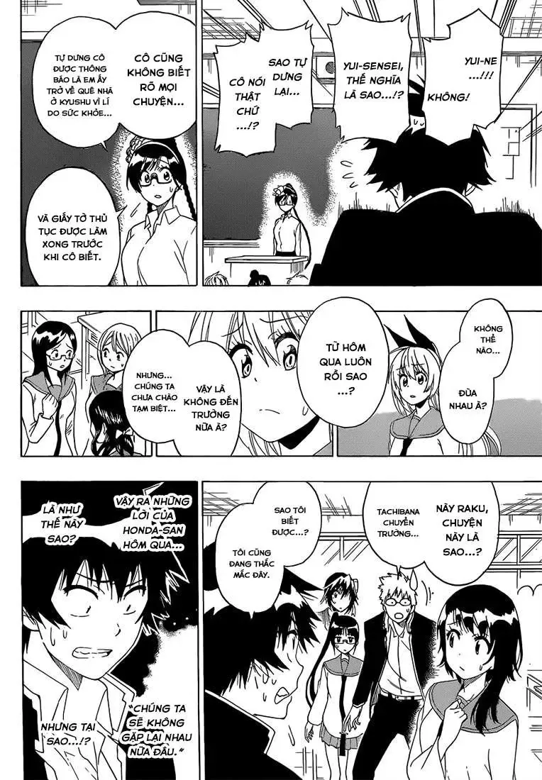 Nisekoi Chapter 181 - Trang 16
