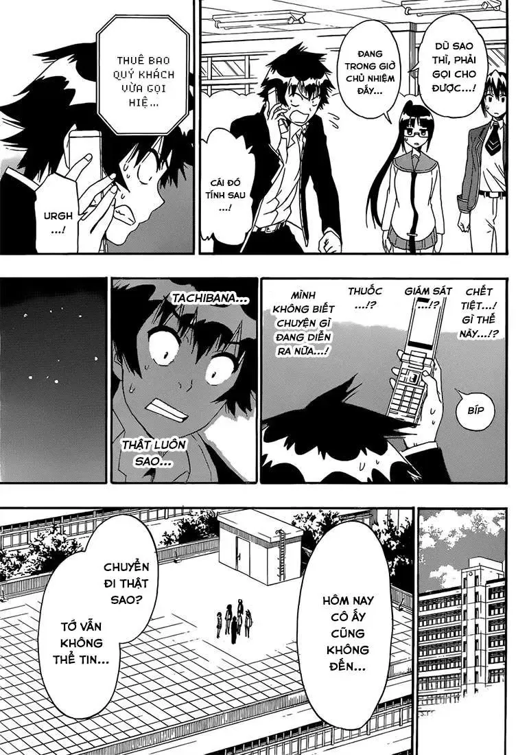 Nisekoi Chapter 181 - Trang 17