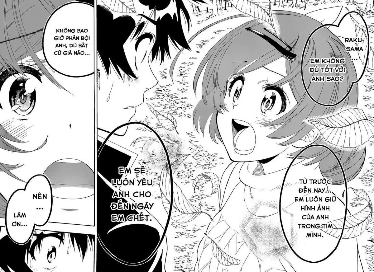 Nisekoi Chapter 181 - Trang 5
