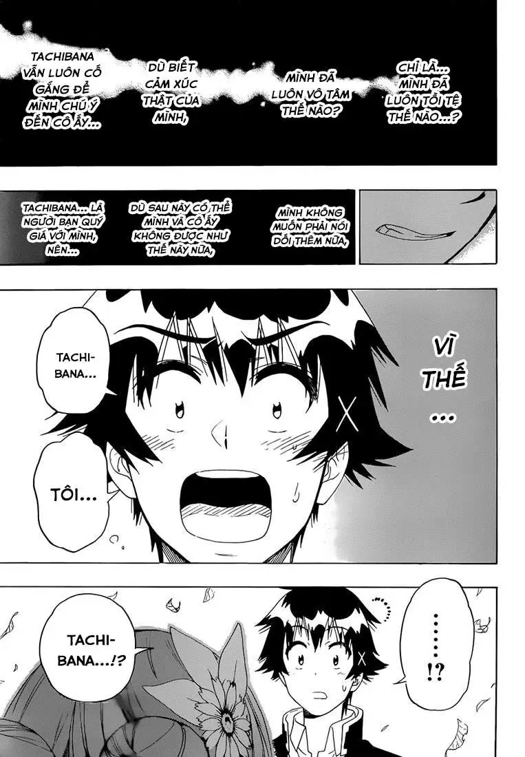 Nisekoi Chapter 181 - Trang 7