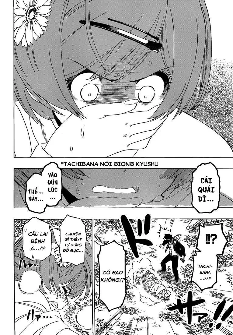 Nisekoi Chapter 181 - Trang 8