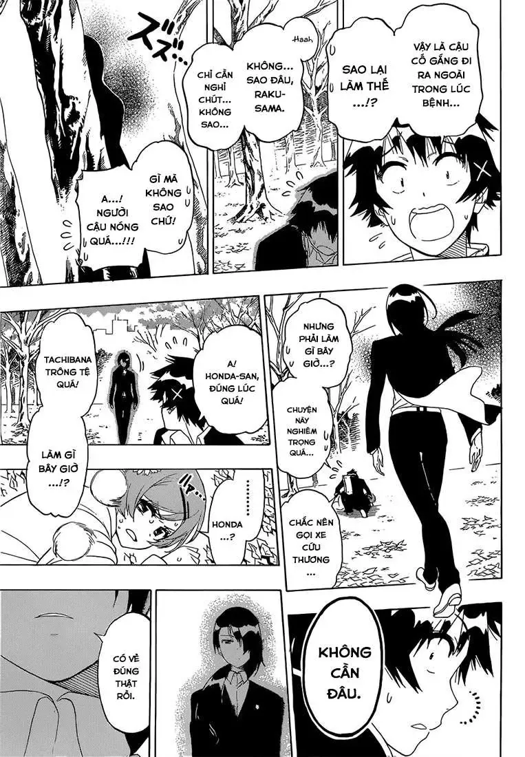 Nisekoi Chapter 181 - Trang 9