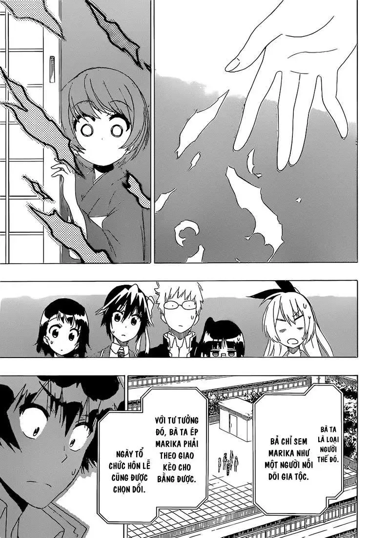 Nisekoi Chapter 182 - Trang 11