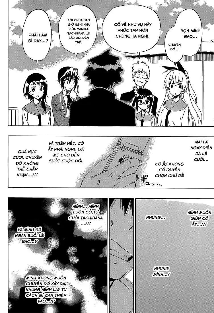 Nisekoi Chapter 182 - Trang 14