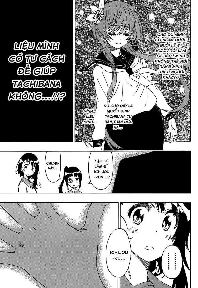 Nisekoi Chapter 182 - Trang 15