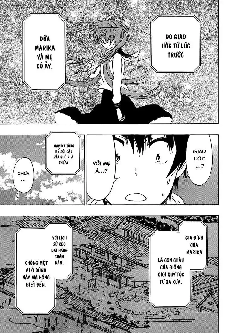 Nisekoi Chapter 182 - Trang 5