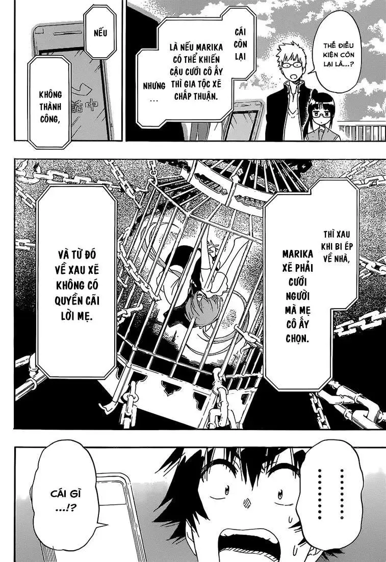 Nisekoi Chapter 182 - Trang 8