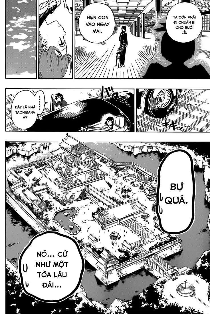Nisekoi Chapter 183 - Trang 13