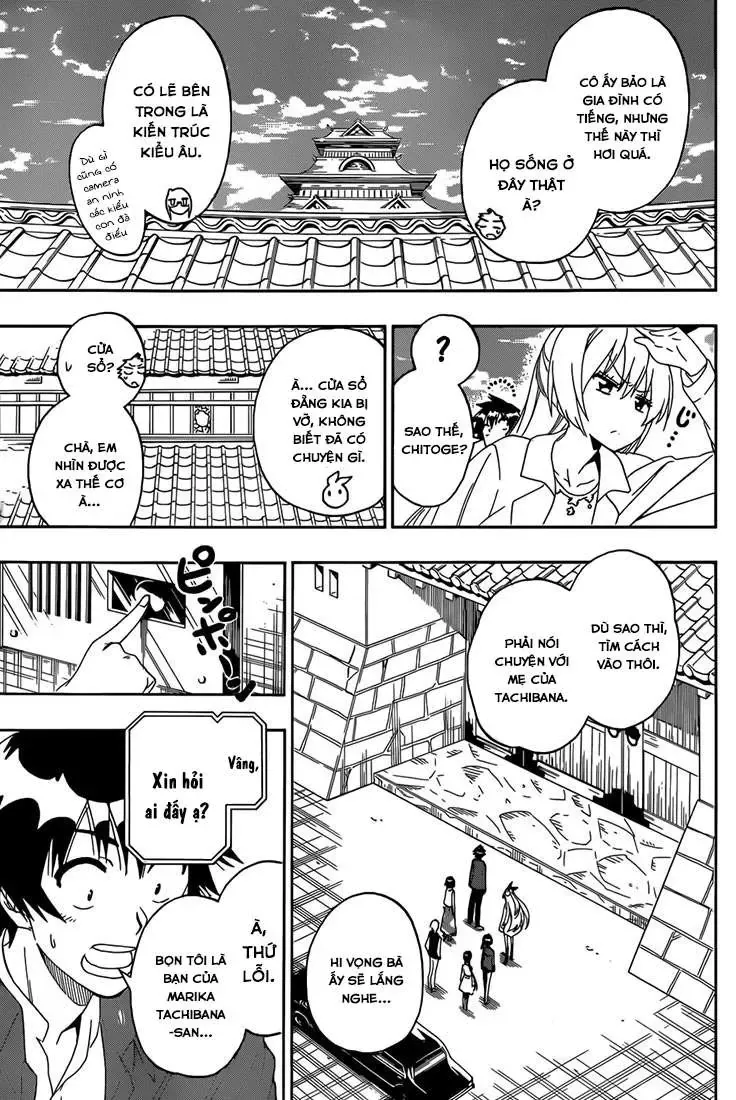Nisekoi Chapter 183 - Trang 14