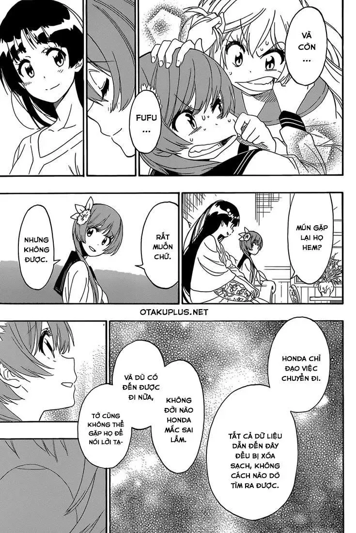 Nisekoi Chapter 183 - Trang 20