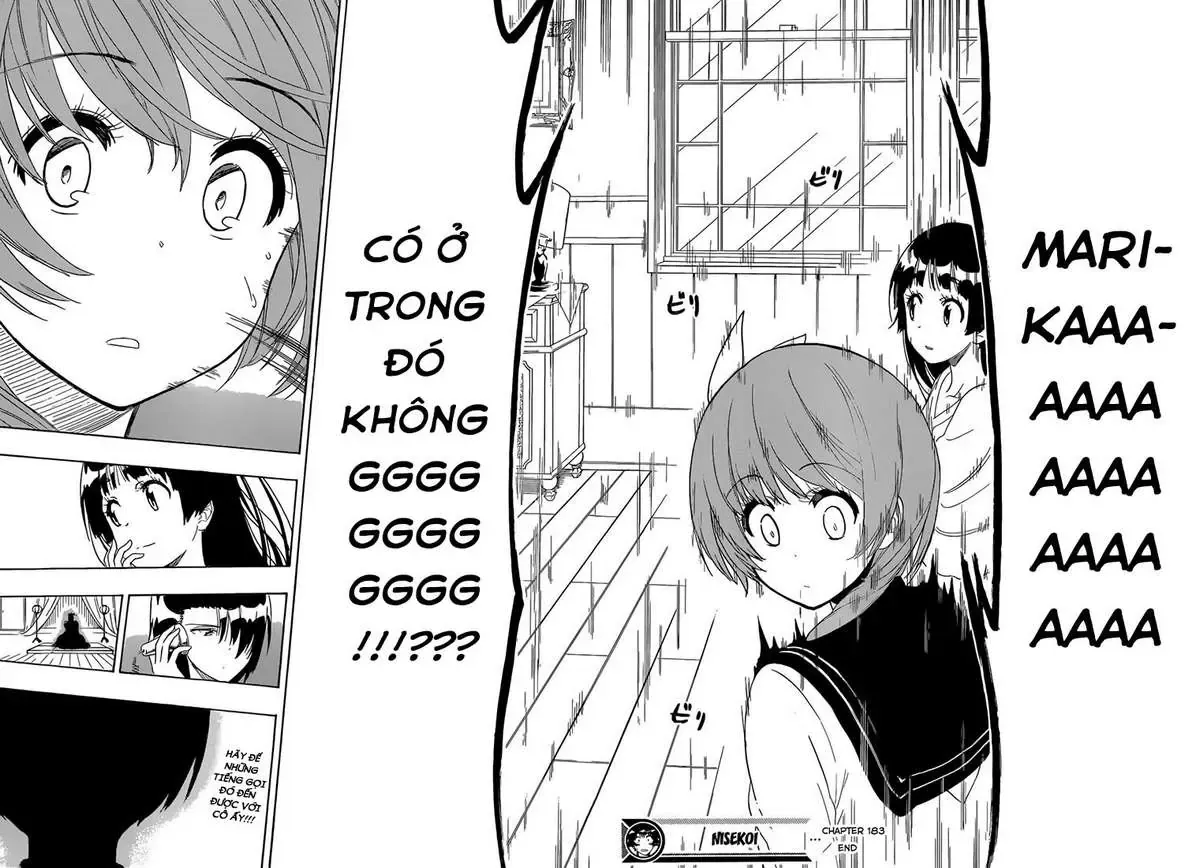 Nisekoi Chapter 183 - Trang 21