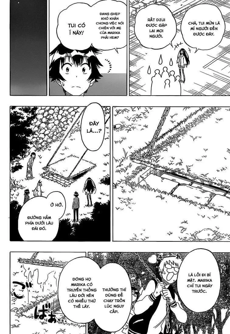 Nisekoi Chapter 184 - Trang 10