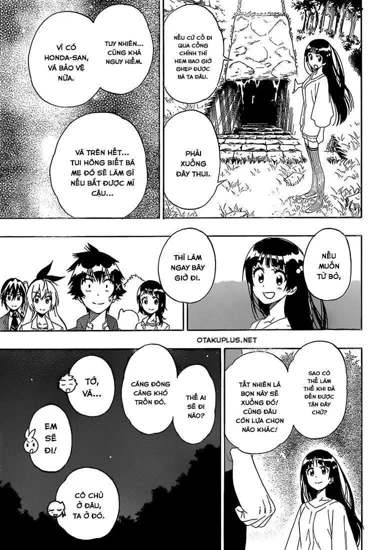 Nisekoi Chapter 184 - Trang 11