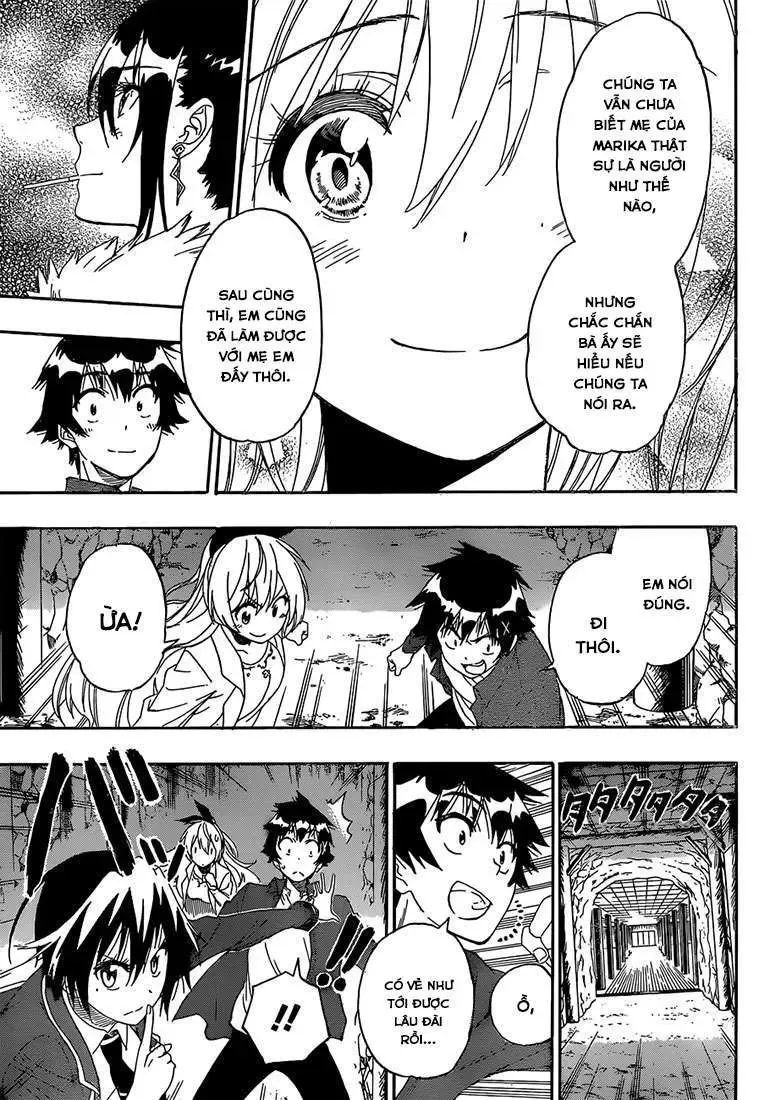 Nisekoi Chapter 184 - Trang 15