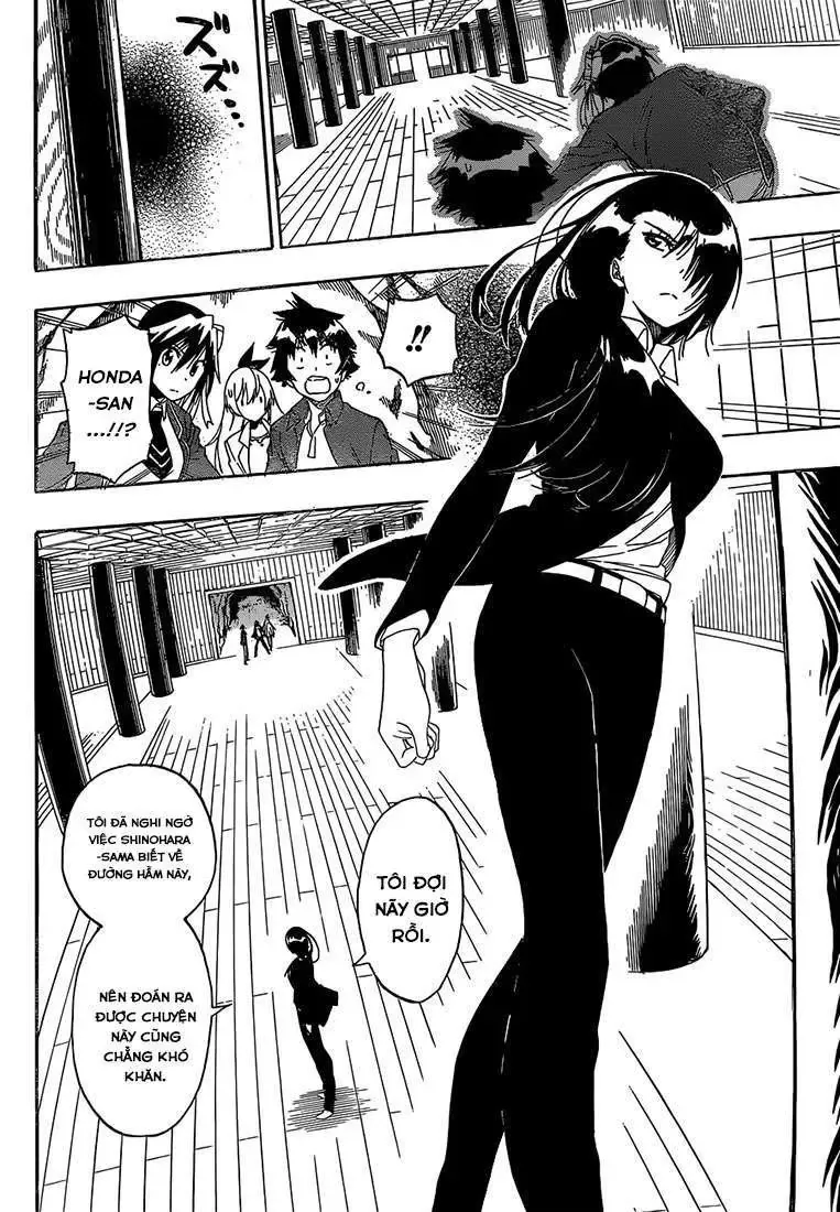 Nisekoi Chapter 184 - Trang 16