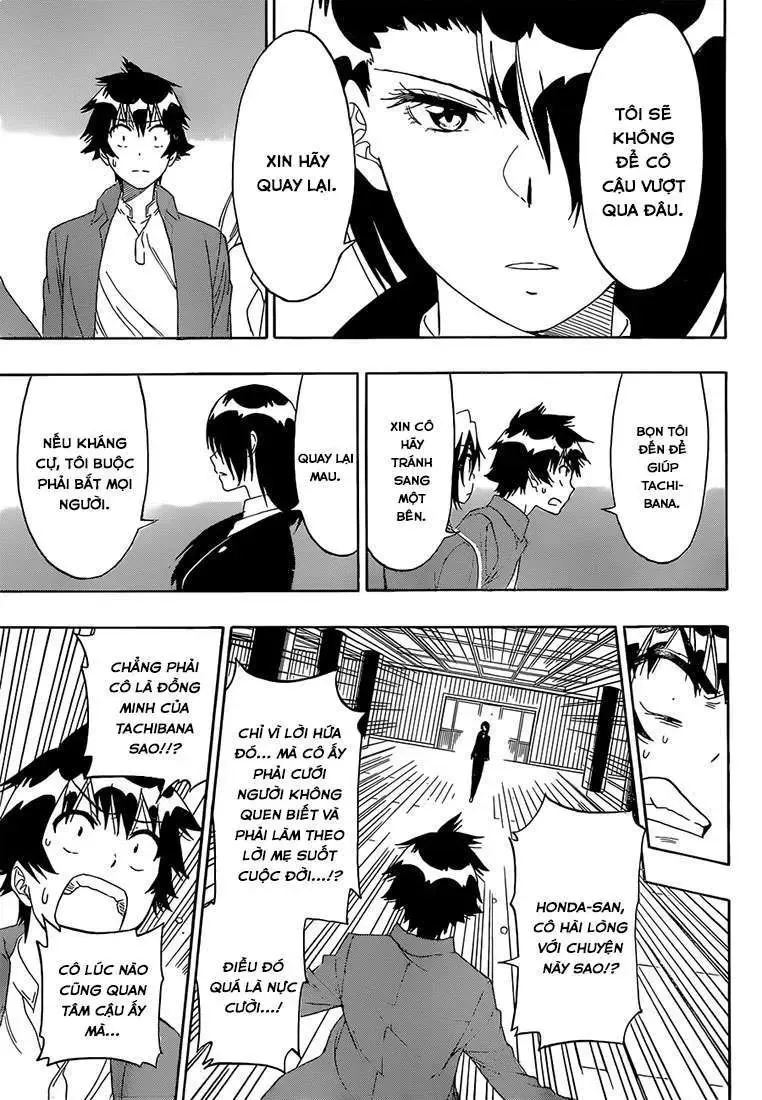 Nisekoi Chapter 184 - Trang 17