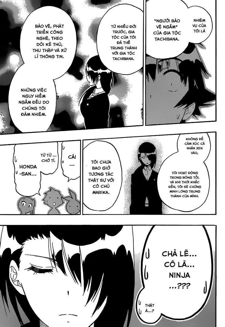 Nisekoi Chapter 184 - Trang 19