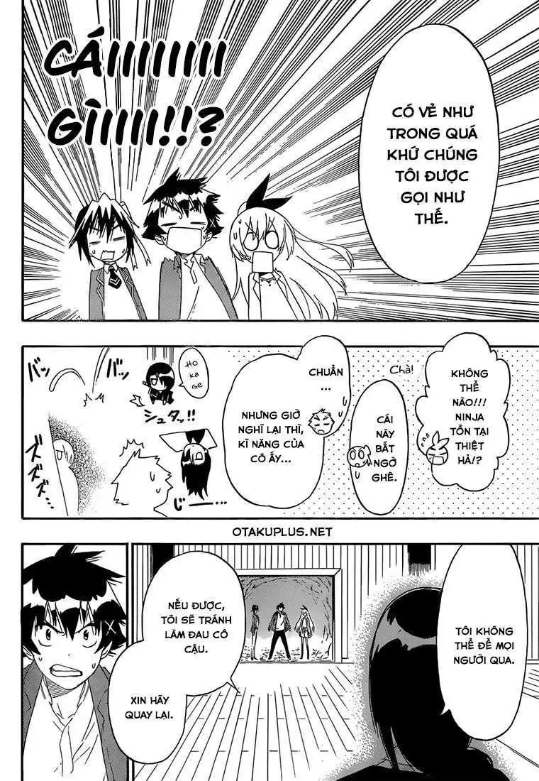 Nisekoi Chapter 184 - Trang 20