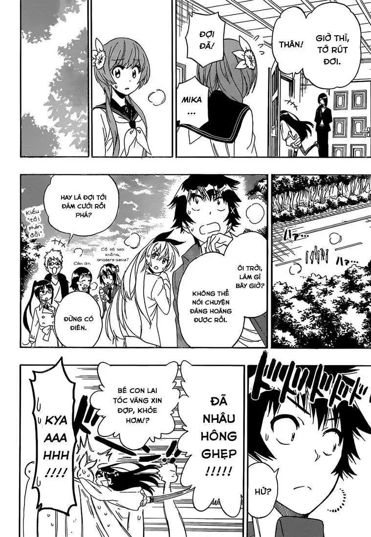 Nisekoi Chapter 184 - Trang 8