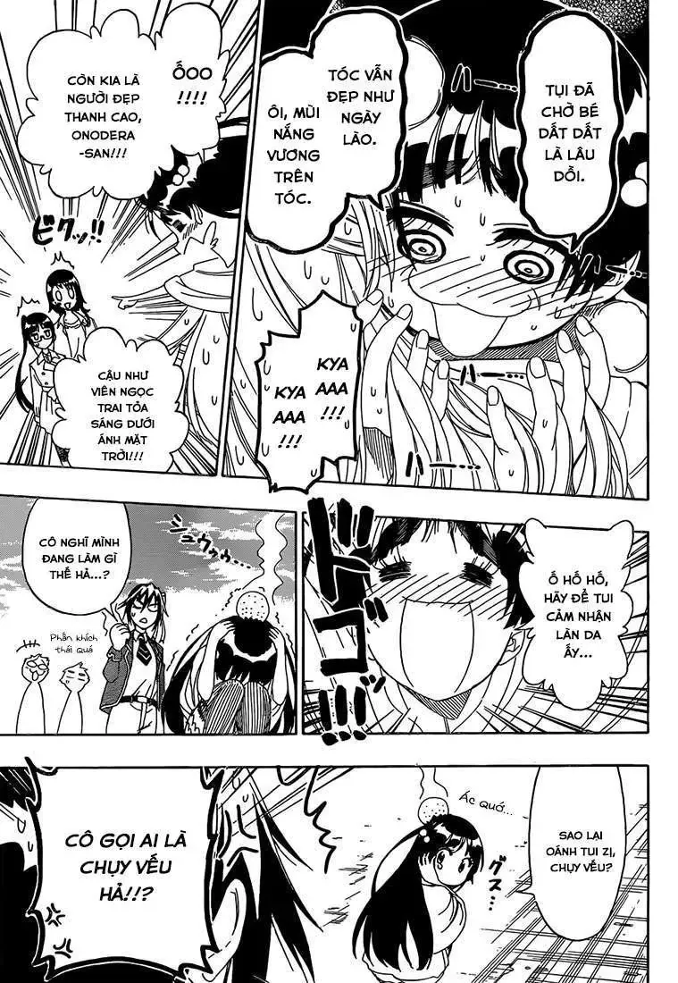 Nisekoi Chapter 184 - Trang 9