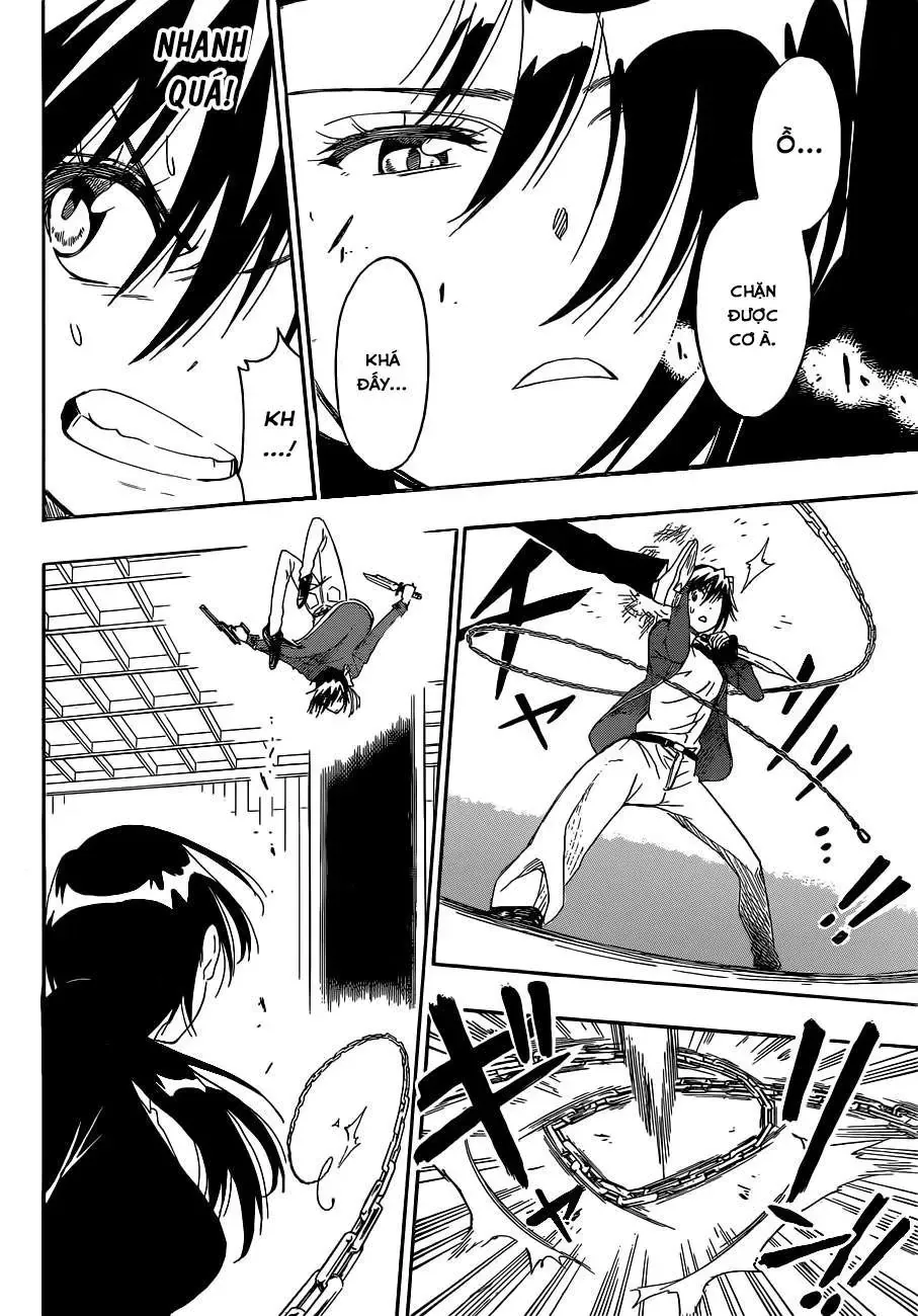 Nisekoi Chapter 185 - Trang 10