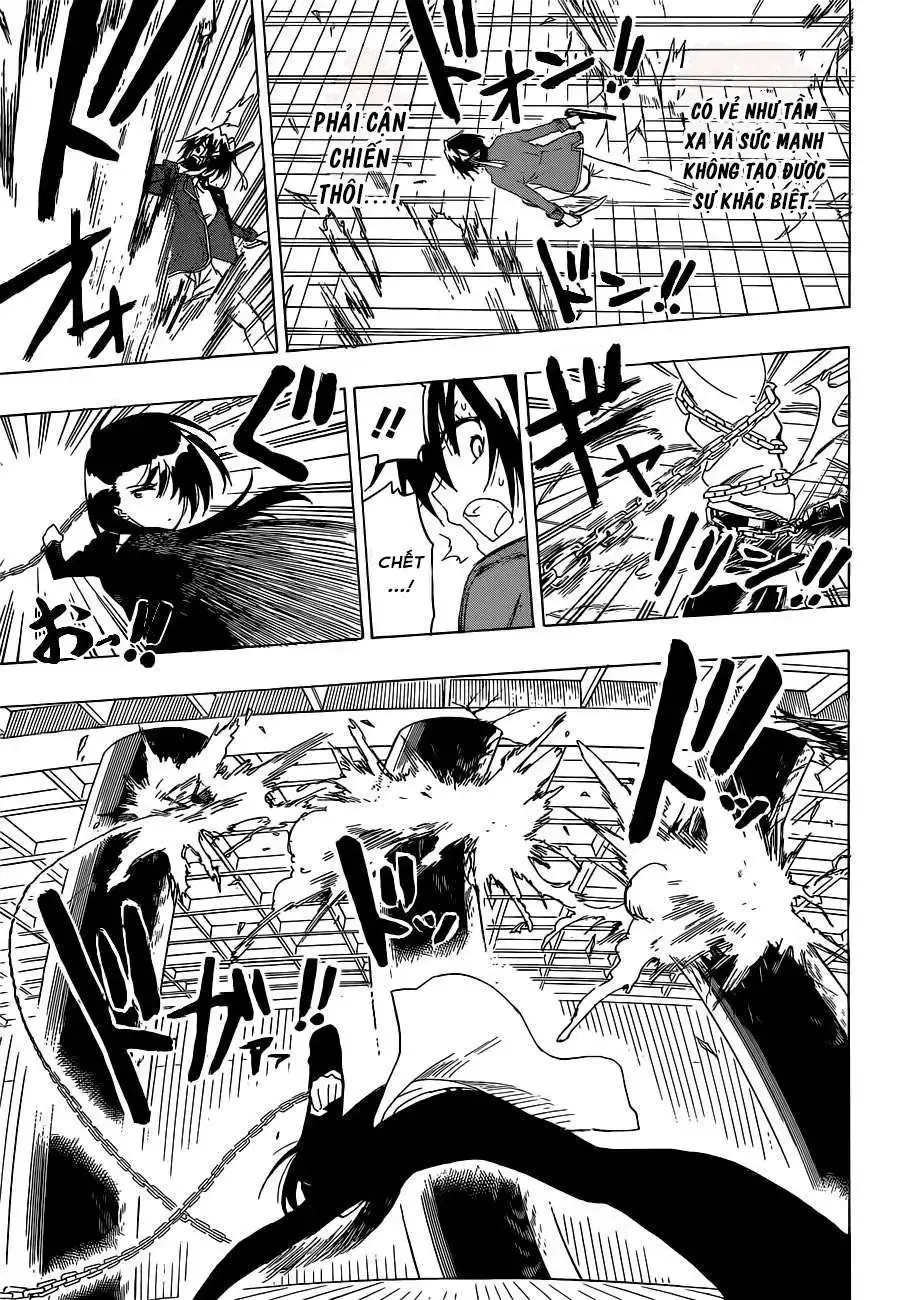 Nisekoi Chapter 185 - Trang 13