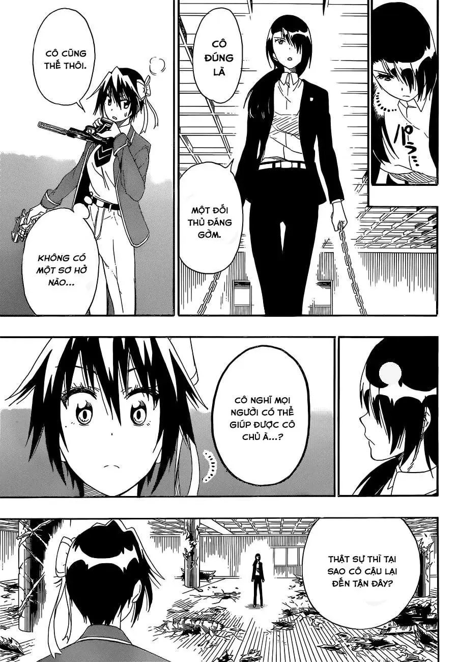 Nisekoi Chapter 185 - Trang 17
