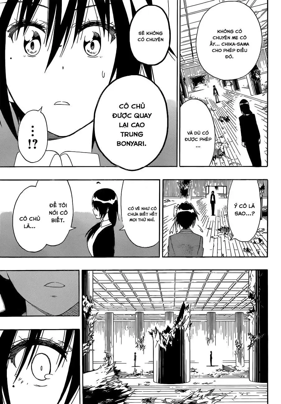 Nisekoi Chapter 185 - Trang 19