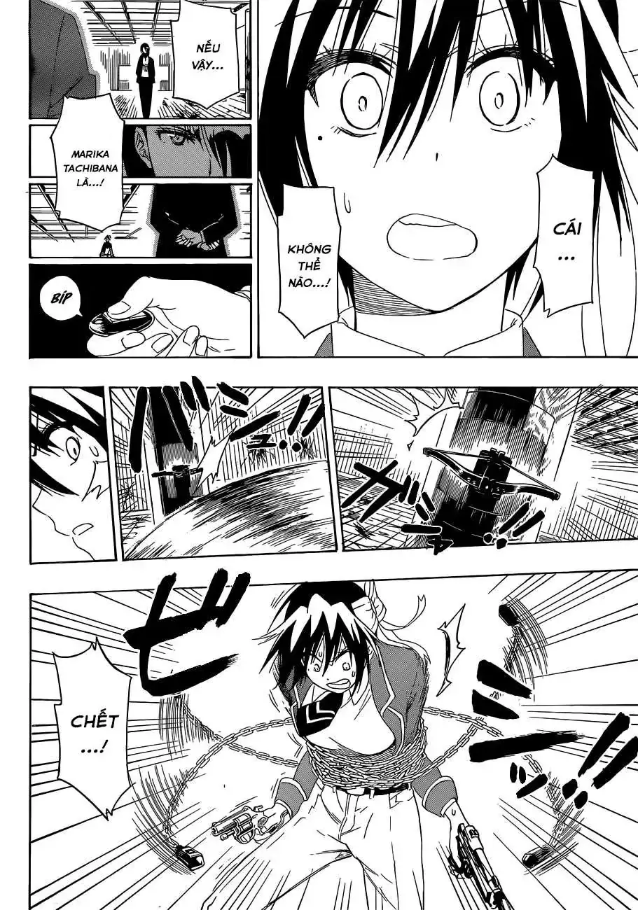 Nisekoi Chapter 185 - Trang 20