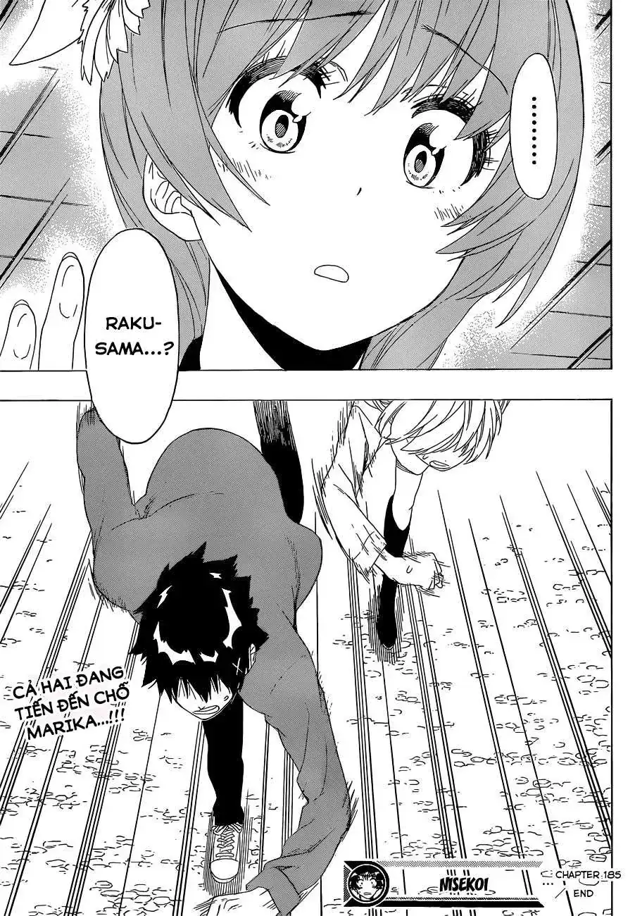 Nisekoi Chapter 185 - Trang 23